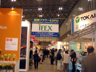 ifex2007